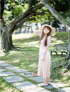 小白菜奇案电视剧