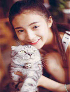2006央视春晚